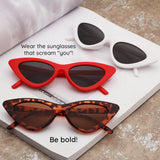 Techsuit Sunglasses (5040), for Women, PC Frame and Lens, Triangular, Leopard