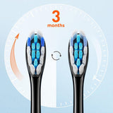 Bitvae Toothbrush Heads (GCS2), For Bitvae BVS2, x4, Negru