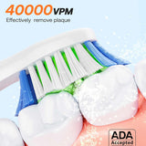 Bitvae Electric Toothbrush Daily (D2), Ultrasonic, 8 Heads, Case, Timer, 5 Modes, W-shape Bristles, Rechargeable, Roz