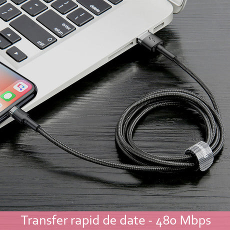 Cablu Baseus Cafule (CALKLF-BV1), USB to Lightning, 2.4A, 480Mbps, 1m, Negru / Gold